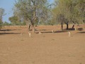 FSC_7562