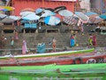 DSCN1513