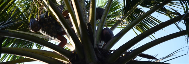 GSC_0606b