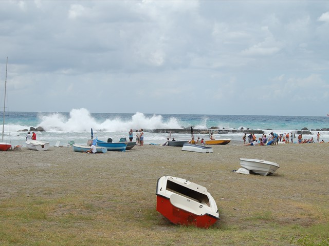 DSC_0446