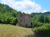 FSC_2129-Laino