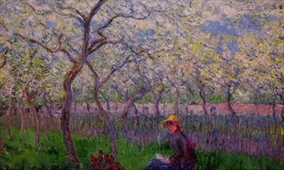frutteto in primavera