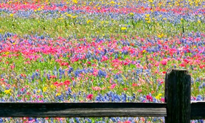 panorama in  Texas a primavera