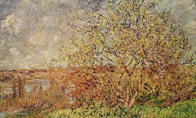 primavera
