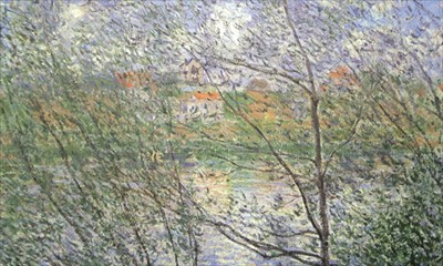 primavera attraverso i rami