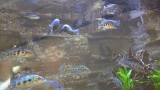 GSC_2058