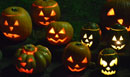 2014: Halloween