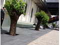 20150509_132109