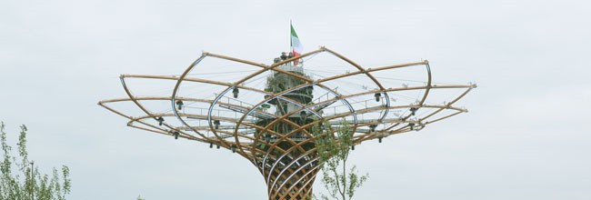 2015-expo1